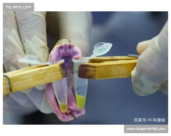 印尼拟对中国商品征税,巴西、越南、印度纷纷虎视眈眈,中国如何应对贸易新挑战? 印尼拟对中国商品征税,巴西、越南、印度纷纷虎视眈眈,中国如何应对贸易新挑战?